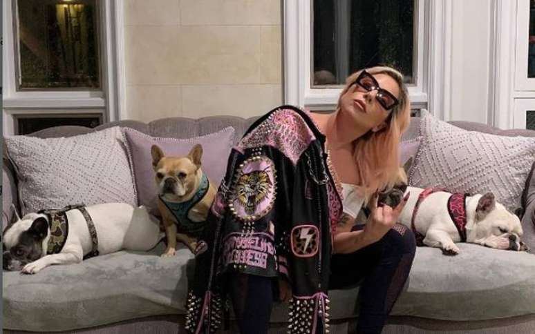 Lady Gaga e seus cães