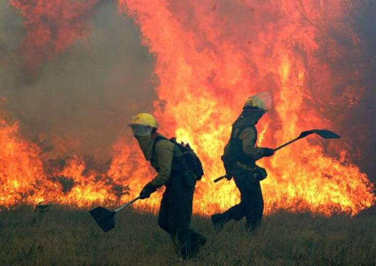 Incêndios também estão na lista de delitos ambientais