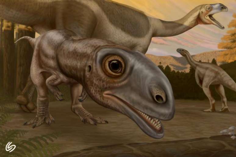 Menor dinossauro já encontrado é, na verdade, um outro animal