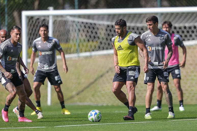 ASSISTIR JOGO DO GALO AO VIVO ONLINE GRÁTIS COM IMAGEM HOJE, 17/07? GOIÁS X  ATLÉTICO MINEIRO onde assistir? Veja transmissão do JOGO DO GALO HOJE AO  VIVO no PREMIERE