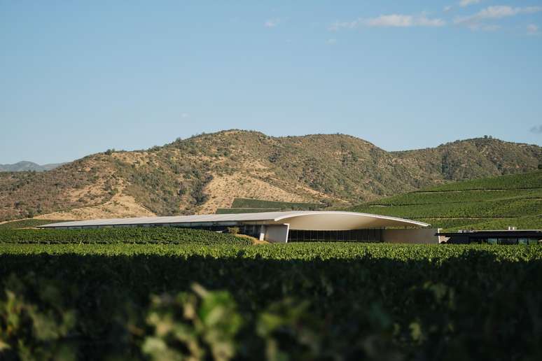 Os vinhedos em torno da futurística bodega da Viña VIK