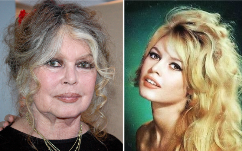 Brigitte Bardot is ill and is rescued by firefighters in France