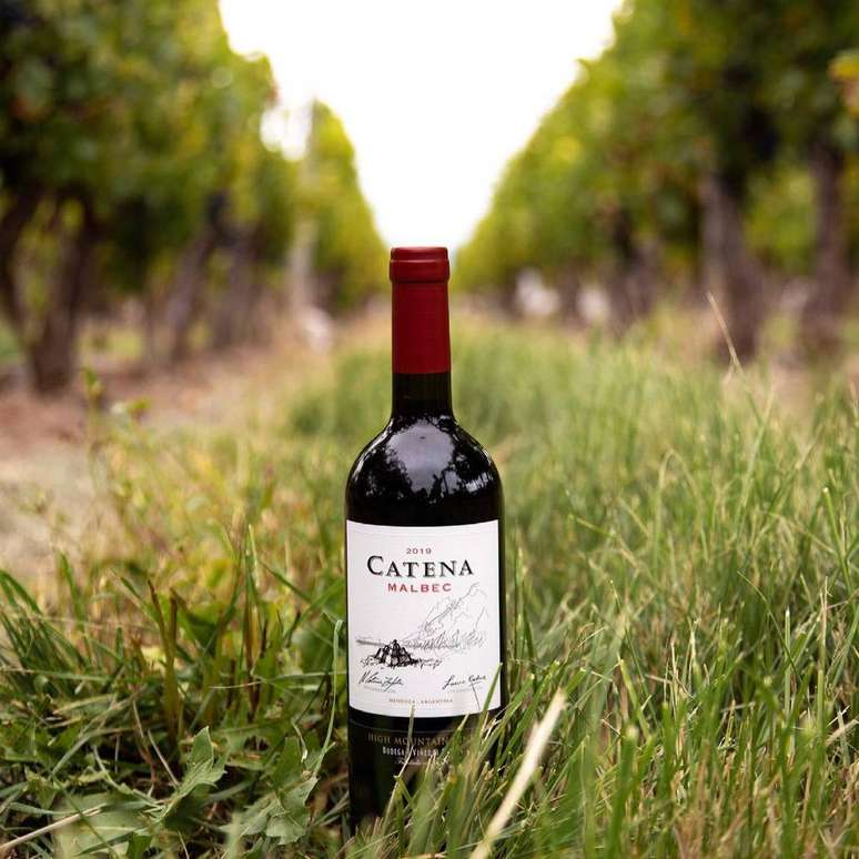 A campeã Catena Zapata é a vinícola familiar mais antiga da Argentina, fundada em 1902