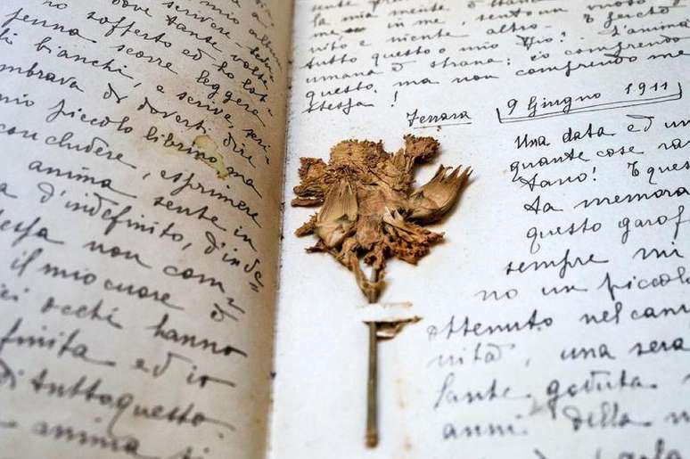 Alguns dos milhares de di&aacute;rios do arquivo italiano incluem fotografias, desenhos ou recorda&ccedil;&otilde;es, como esta flor seca