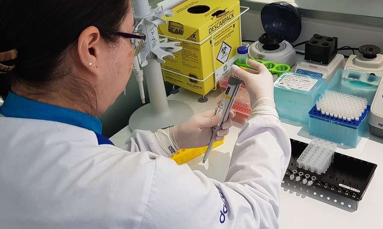 Brazilian scientist in DNA extraction procedure