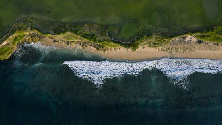 The researchers monitored a major marine heatwave underway off the west coast of the United States and Canada. The researchers monitored a major marine heatwave underway off the west coast of the United States and Canada.