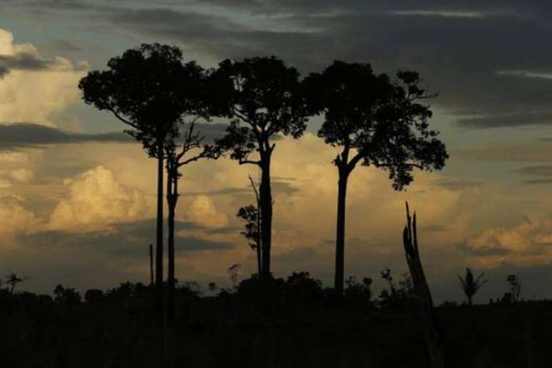 Serão valorizados pelo comitê gestor do Fundo Amazônia projetos relacionados ao planejamento de infraestrutura necessária ao desenvolvimento sustentável da região