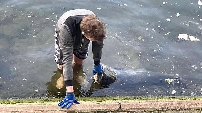 Entre 30 e 35 espécies de peixes vivem no Sena, em Paris