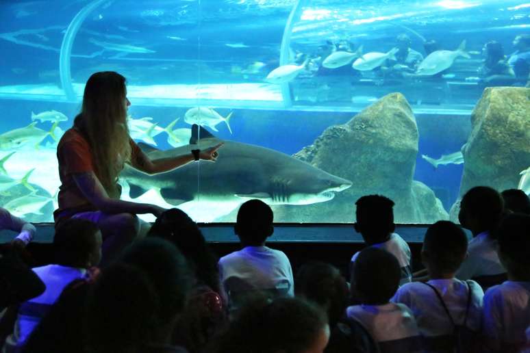 No AquaRio, os enormes tanques de água com espécies marinhas fascinam crianças de todas as idades