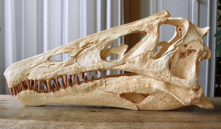 Reconstrução do crânio do dinossauro Irritator challengeri feita em impressora 3D