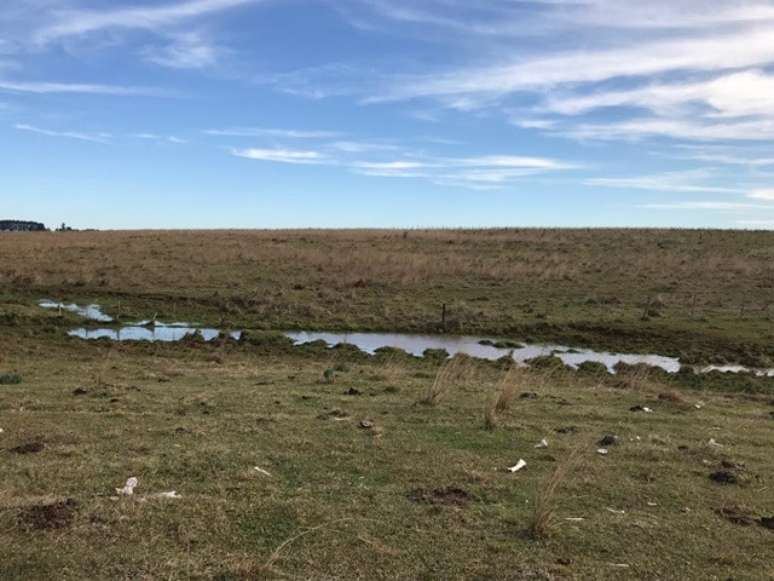 Fazendas de Jo&atilde;o Goulart est&atilde;o &agrave; venda