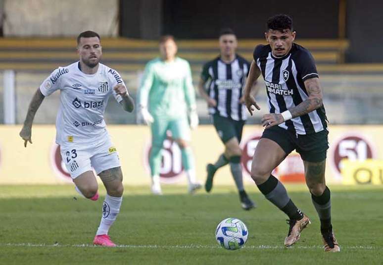 Botafogo x Coritiba; onde assistir ao vivo o jogo deste domingo (30) pelo  Brasileirão - CenárioMT