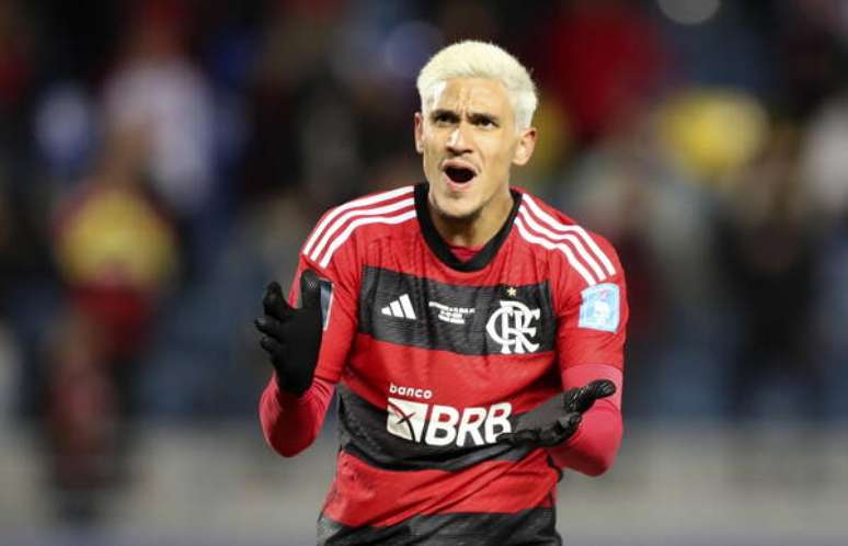 Exame de corpo de delito constatou lesões leves no rosto de Pedro