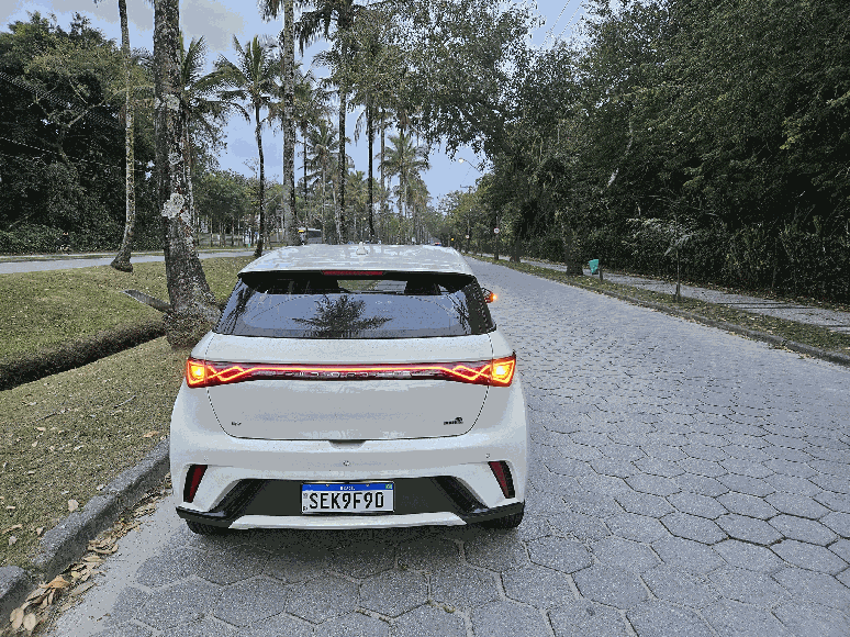 BYD Dolphin EV