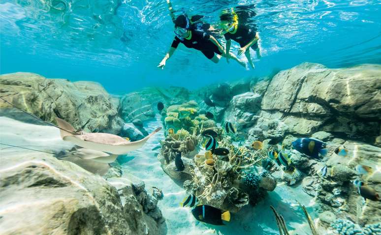 No The Grand Reef você pode fazer snorkel em corais de mentirinha