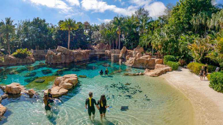 Mesmo na parte mais rasa da piscina, dá para ver peixes e raias