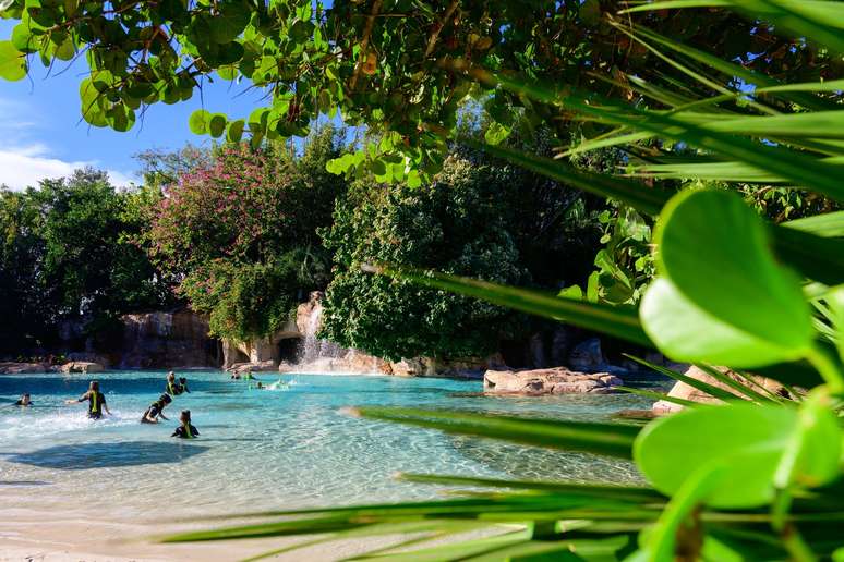 Um bonito paisagismo cerca a piscina Serenity Bay, que possui uma cascata