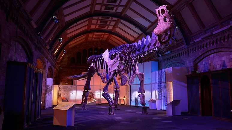 Os maiores dinossauros podem ter cerca de 100 toneladas de peso