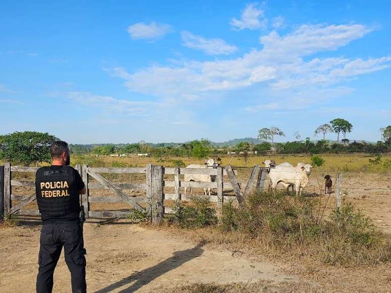 Operação Retomada prende maior devastador da Amazônia já identificado