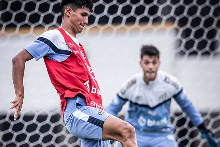 Como e onde assisitir jogo do flamengo contra o santos totalmente