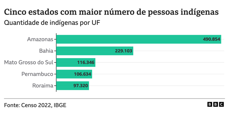 Gráfico mostrando os 5 estados com mais indígenas