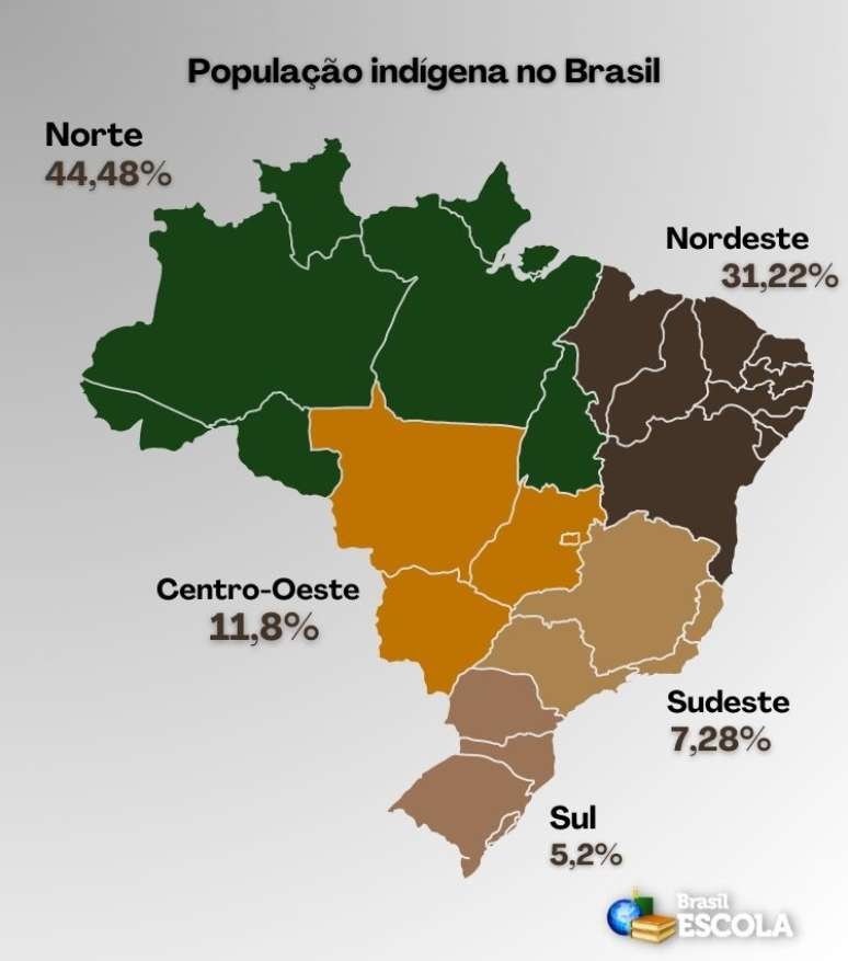 População Indígena No Brasil é De Quase 1 7 Milhão