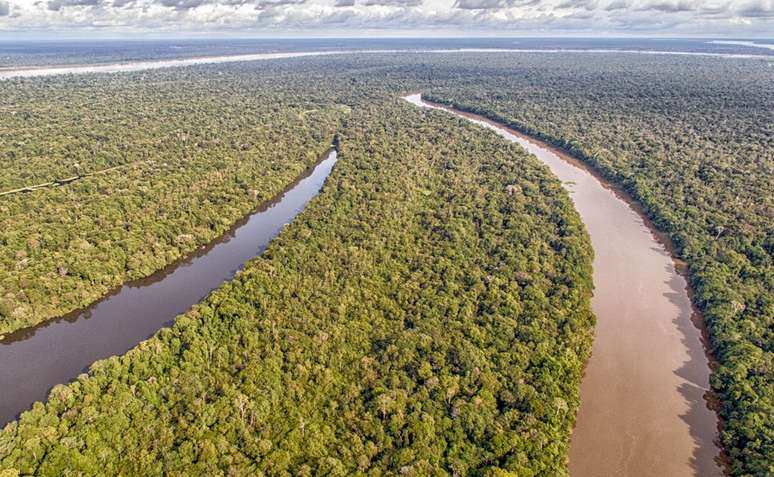Amazonia legal é 58,93% do território brasileiro