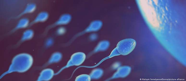 Se for constatado que a ejaculação não contém nenhum espermatozoide, pode ser realizada a chamada extração de espermatozoides testiculares