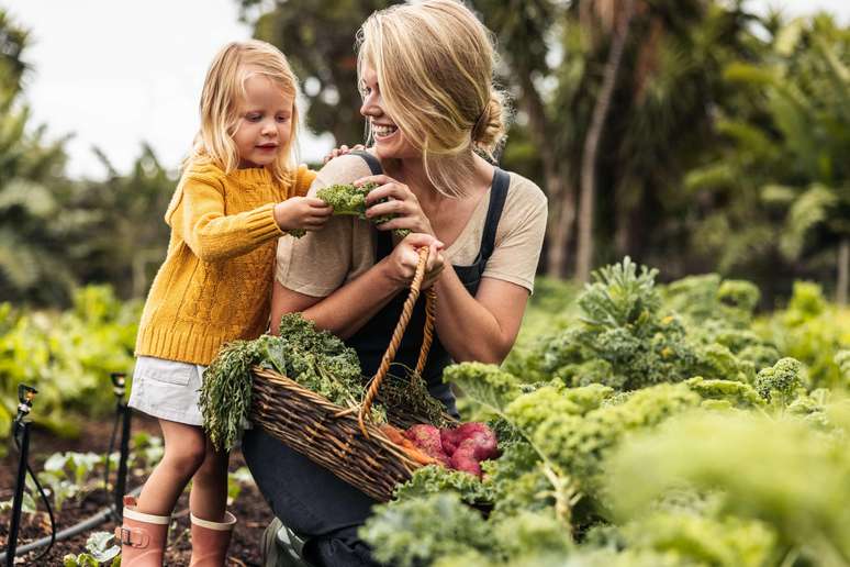 Nada melhor do que plantar, colher e consumir um alimento em sua própria casa