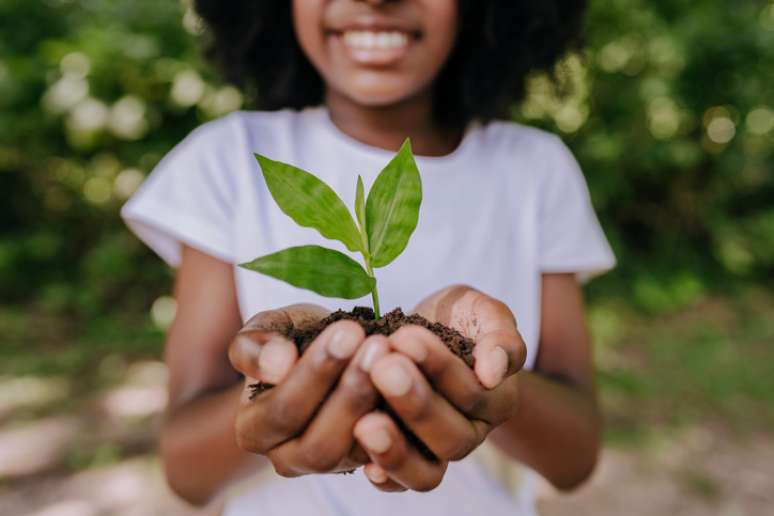 Entenda o que é ecologia e qual é a sua importância