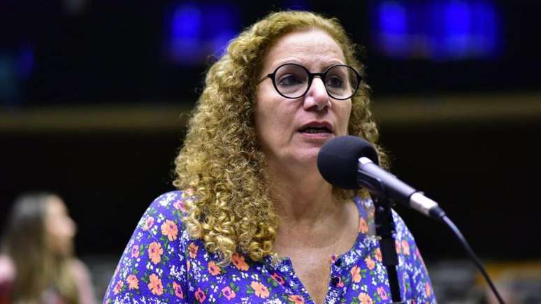 O projeto de lei em discussão é de autoria da deputada Jandira Feghali (PCdoB-RJ)
