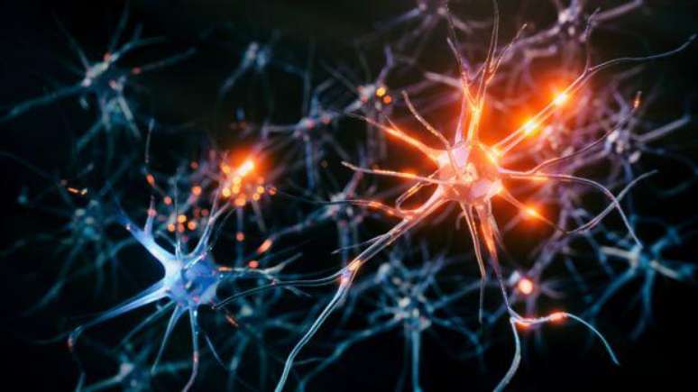 O mau funcionamento dos neurônios está na raiz do tremor