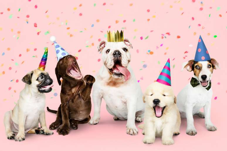 Convidar outros cachorros torna o dia ainda mais especial 