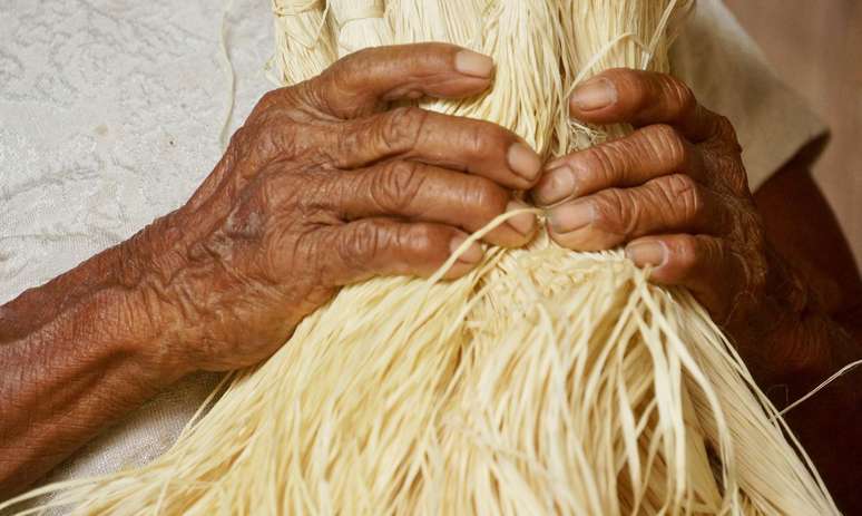 Mulheres ind&iacute;genas lideram projetos de gera&ccedil;&atilde;o de renda e agroecologia