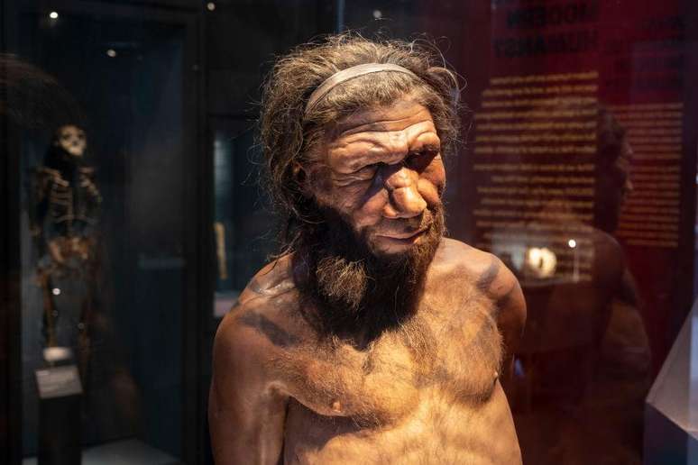 Representa&ccedil;&atilde;o de neanderthal no Museu de Hist&oacute;ria Natural de Londres