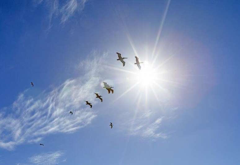 Sun, heat and dry air predominate in Brazil