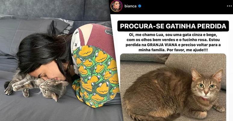 Bianca Andrade asks for help after the disappearance of her cat: ‘Good reward’