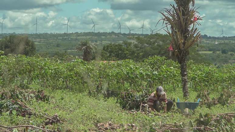 A zona rural de Caetés é dividida em pequenas propriedades de terra