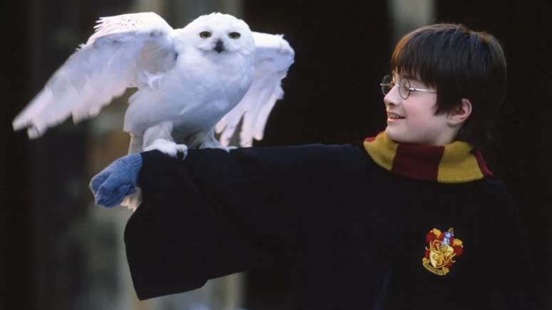 Harry Potter Should Have Failed Hogwarts His First Year: He Explains This Sorcerer’s Stone Detail And Hardly Anyone Noticed