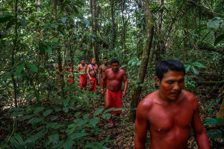 Os excursionistas estão solicitando o apoio de várias comunidades indígenas para atravessar a selva de forma segura.