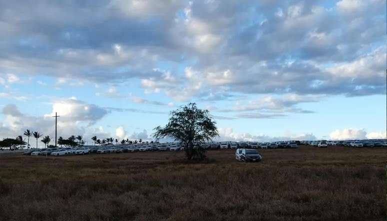 Carros alugados excedentes ficam do lado de fora do aeroporto de Maui depois que milhares de visitantes deixaram a ilha