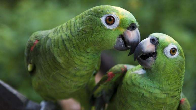 A conex&atilde;o f&iacute;sica &eacute; importante em qualquer tipo de relacionamento