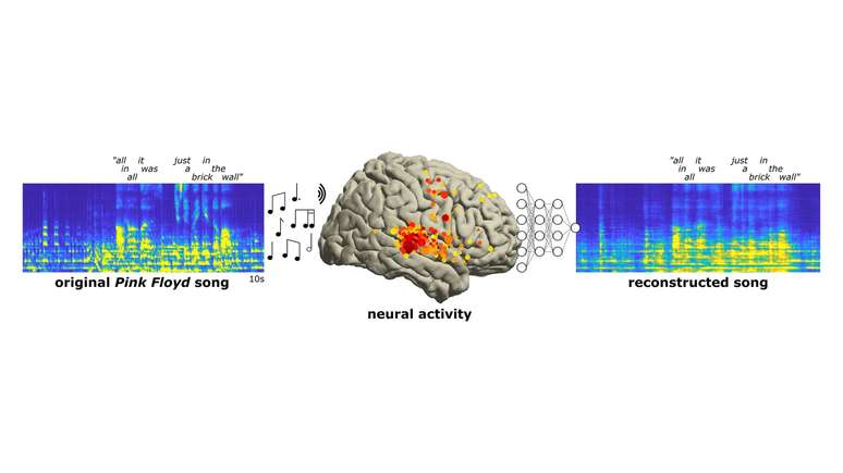 Cientistas reproduziram refrão icônico do Pink Floyd a partir de ondas cerebrais