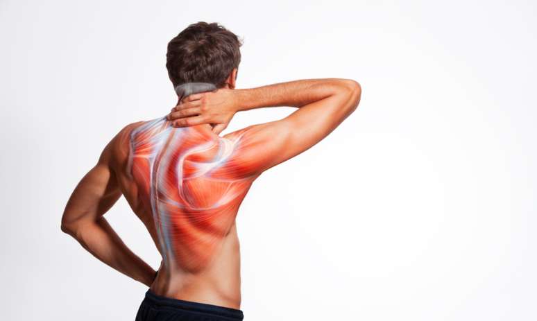 Encurtamento muscular: 4 exercícios simples para fazer em casa -
