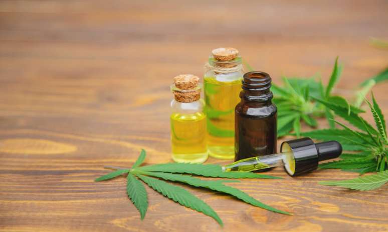 Cannabis medicinal: 20 doenças que podem ser tratadas com CBD -