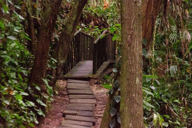 Caminho para ponto turístico em Águas de São Pedro 