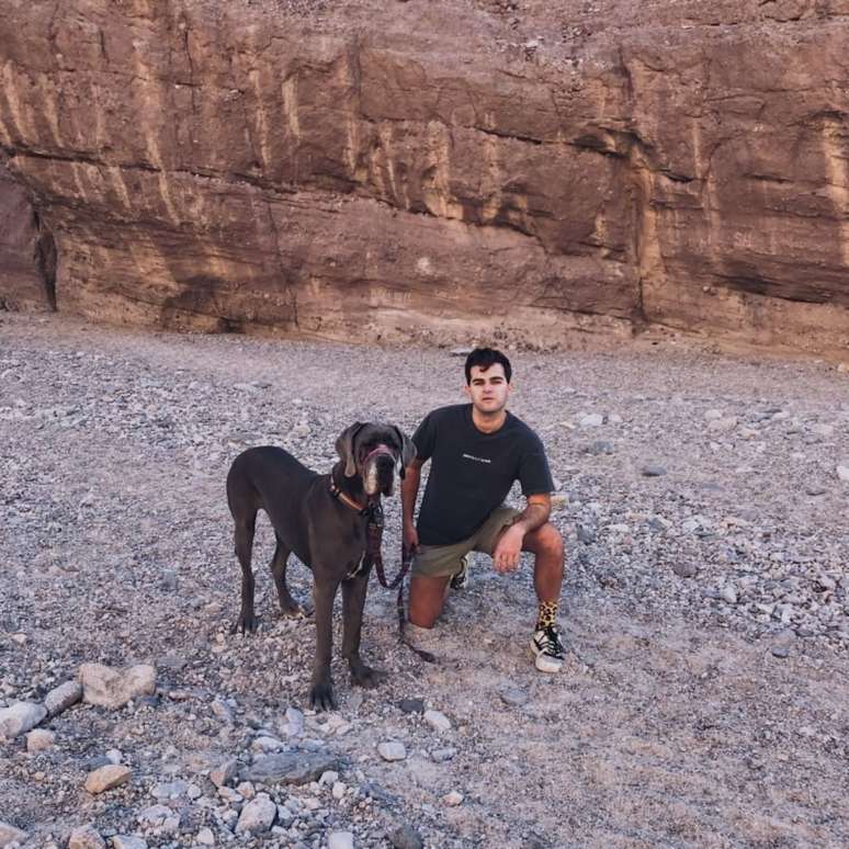 The man buys three seats to travel with a giant dog on an airplane;  Watch a video