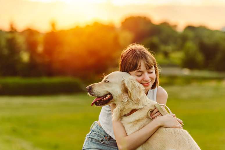 Os cães observam gestos, expressões faciais e posturas corporais para entender o estado emocional do humano