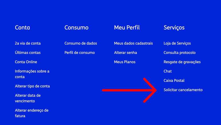 Como colocar senha no perfil da Netflix - Canaltech