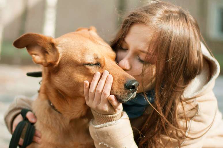 Os cães são animais observadores e, por isso, conseguem associar situações a emoções 